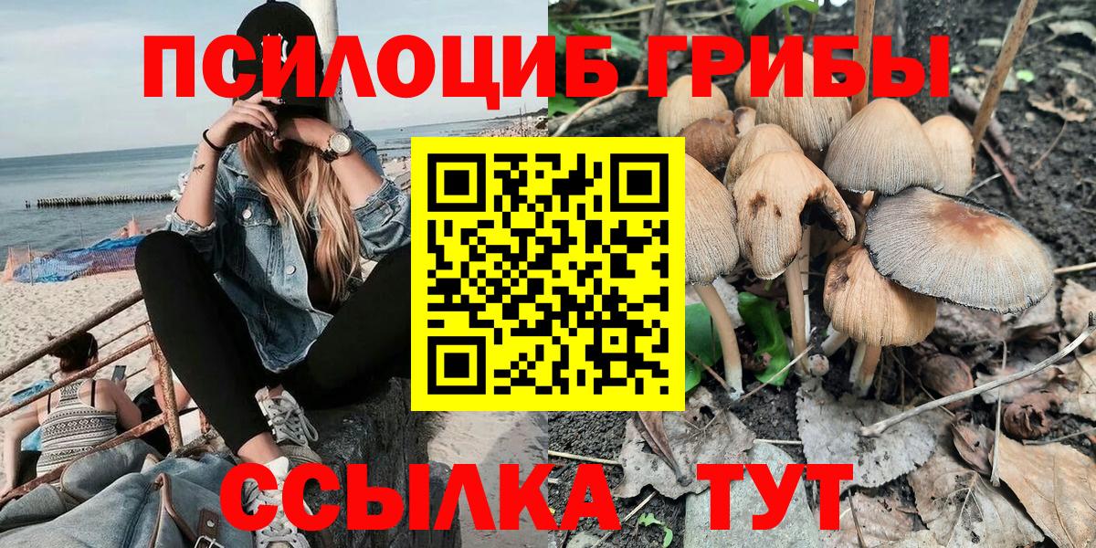 Галлюциногенные грибы Magic Shrooms  Псилоцибиновые грибы MAGIC MUSHROOMS  Вход с VPN  Ялуторовск 